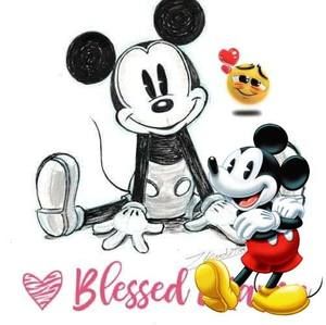 Meet your Posher, Hollie a